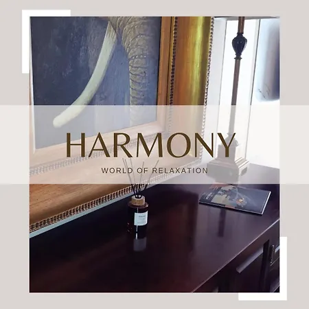 Harmony Downtown Apartament